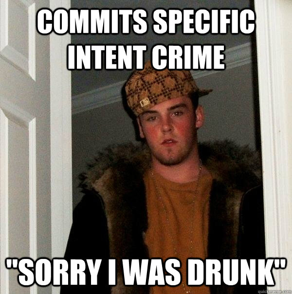 commits specific intent crime sorry i was drunk - Scumbag Steve