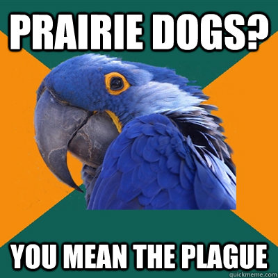 prairie dogs you mean the plague - Paranoid Parrot