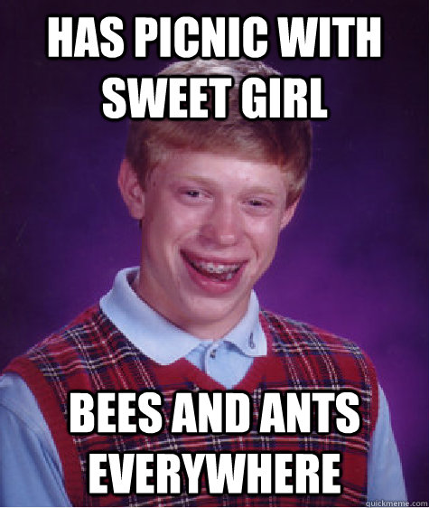 has picnic with sweet girl bees and ants everywhere - Bad Luck Brian