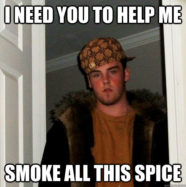 i need you to help me smoke all this spice - Scumbag Steve
