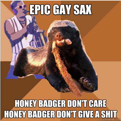epic badger