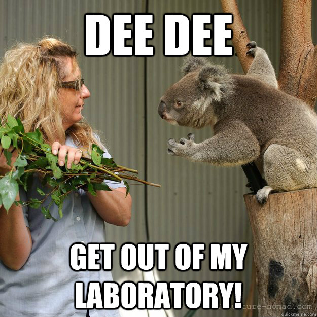 dee dee get out of my laboratory -