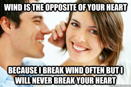 wind is the opposite of your heart because i break wind ofte - Bad Pick-up line Paul
