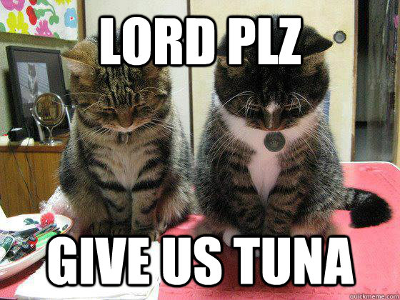 lord plz give us tuna - Praying cats