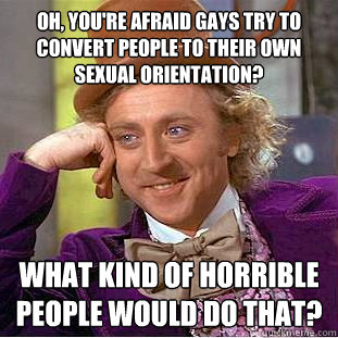 oh youre afraid gays try to convert people to their own se - Condescending Wonka