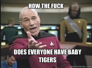 how the fuck does everyone have baby tigers - Annoyed Picard
