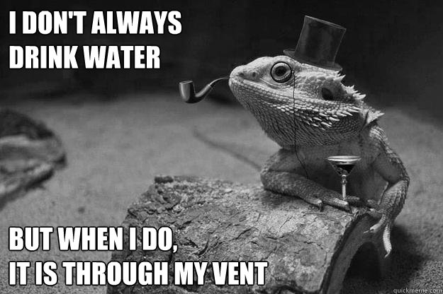 i dont always drink water but when i do it is through my - Incredibly Interesting Martini