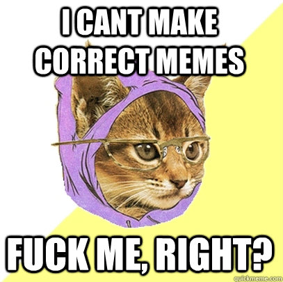 i cant make correct memes fuck me right - Hipster Kitty
