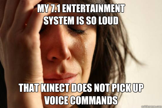 my 71 entertainment system is so loud that kinect does not - First World Problems
