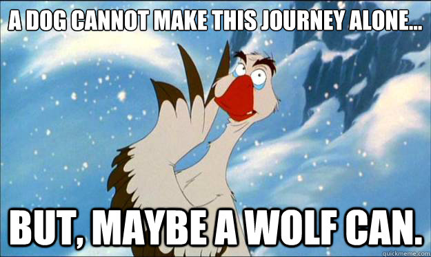 a dog cannot make this journey alone but maybe a wolf ca -