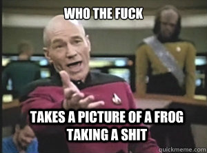 who the fuck takes a picture of a frog taking a shit - Annoyed Picard