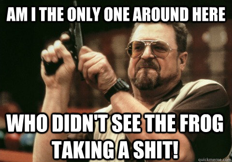 am i the only one around here who didnt see the frog taking - Am I the only one