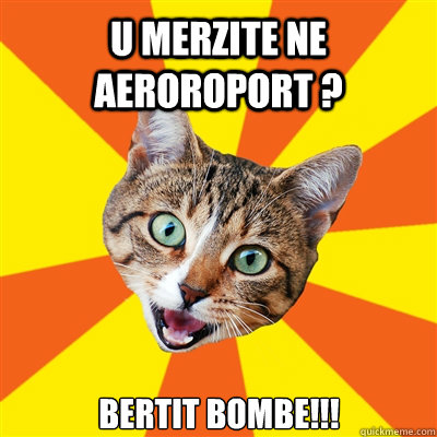 u merzite ne aeroroport bertit bombe - Bad Advice Cat