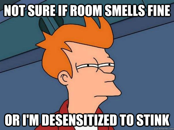 not sure if room smells fine or im desensitized to stink - Futurama Fry