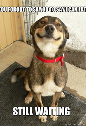 you forgot to say go to say i can eat still waiting - Good Dog Greg
