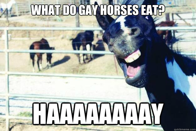 what do gay horses eat haaaaaaaay -