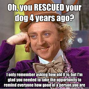 oh you rescued your dog 4 years ago i only remember asking - Condescending Wonka