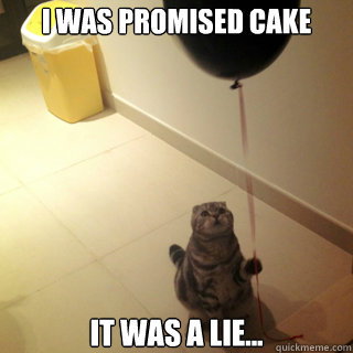 i was promised cake it was a lie - Sad Birthday Cat