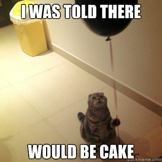 i was told there would be cake - Sad Birthday Cat