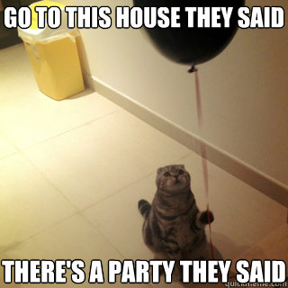 go to this house they said theres a party they said - Sad Birthday Cat