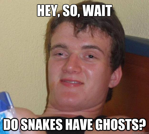 hey so wait do snakes have ghosts - 10 Guy