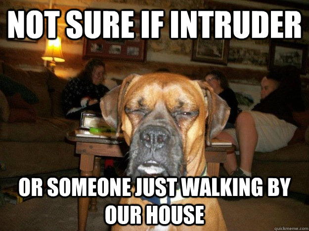 not sure if intruder or someone just walking by our house -