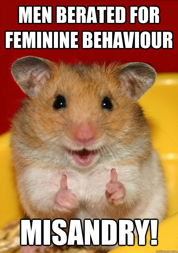 men berated for feminine behaviour misandry - Rationalization Hamster