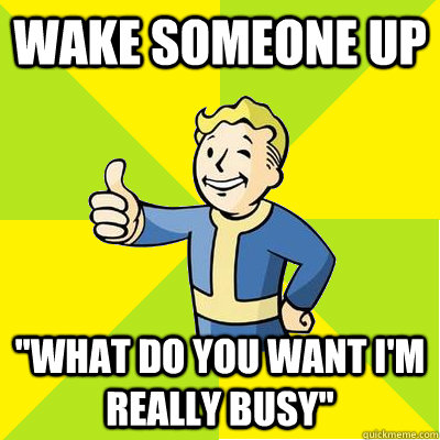 wake someone up what do you want im really busy - Fallout new vegas