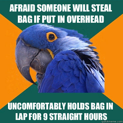 afraid someone will steal bag if put in overhead compartment - Paranoid Parrot