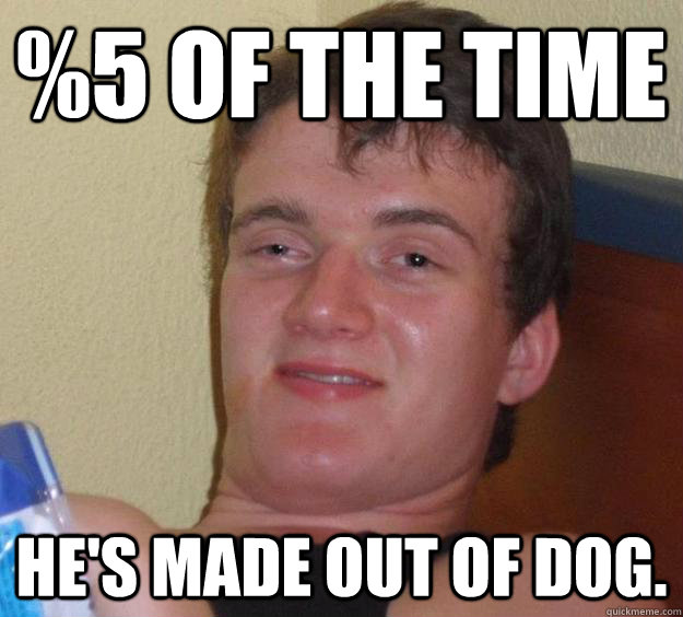 5 of the time hes made out of dog - 10 Guy