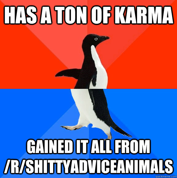 has a ton of karma gained it all from rshittyadviceanimals - Socially Awesome Awkward Penguin