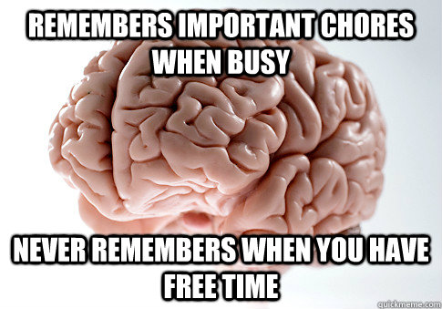 remembers important chores when busy never remembers when yo - Scumbag Brain