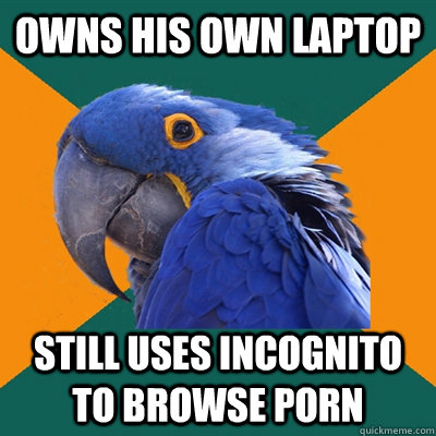 owns his own laptop still uses incognito to browse porn - Paranoid Parrot