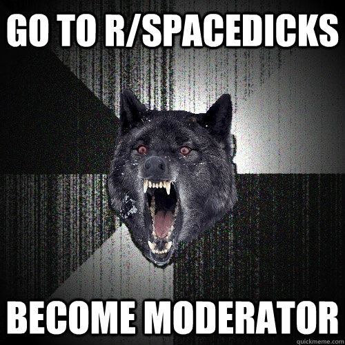go to rspacedicks become moderator - Insanity Wolf