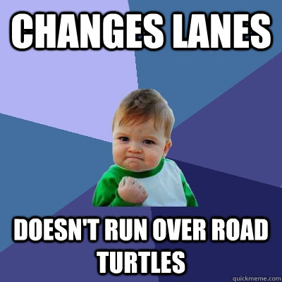 changes lanes doesnt run over road turtles - Success Kid
