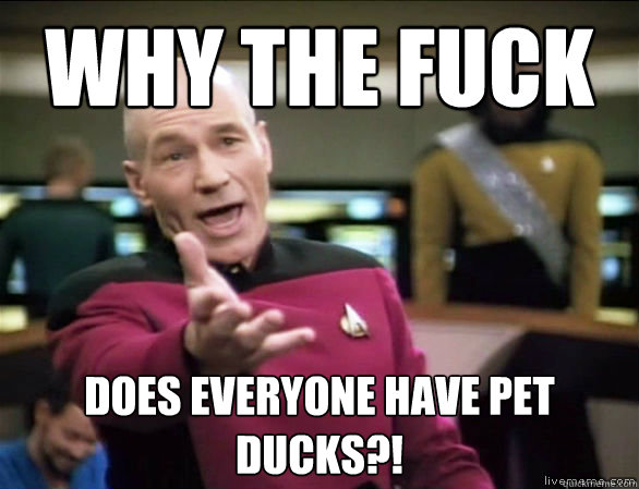 why the fuck does everyone have pet ducks - Annoyed Picard HD