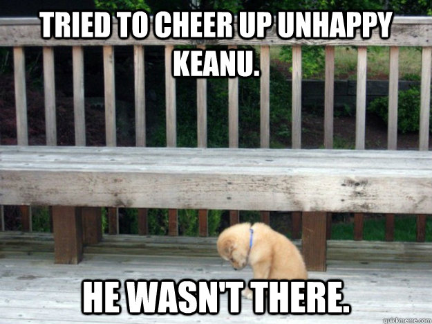tried to cheer up unhappy keanu he wasnt there - Unlucky puppy