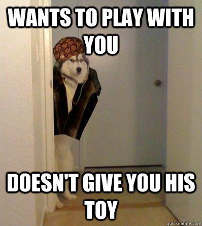 wants to play with you doesnt give you his toy - Scumbag dog