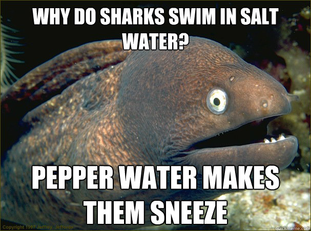 why do sharks swim in salt water pepper water makes them sn - Bad Joke Eel