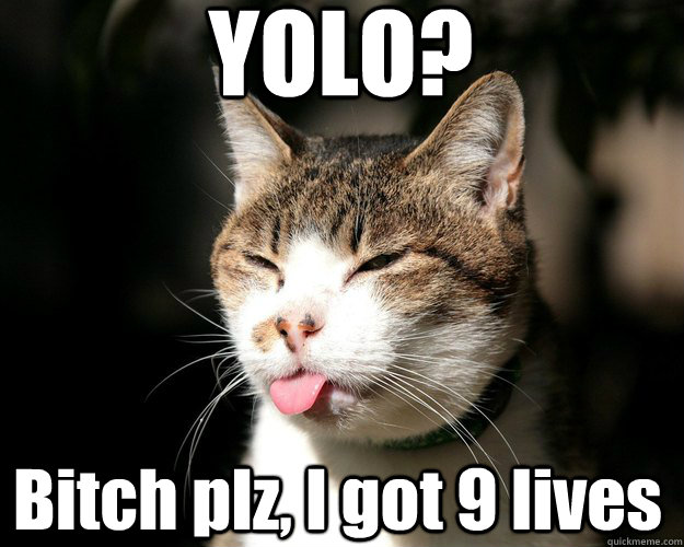 yolo bitch plz i got 9 lives - YOLOL