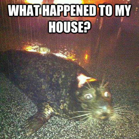 what happened to my house -