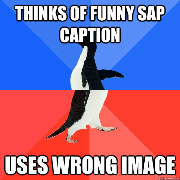 thinks of funny sap caption uses wrong image - Socially Awkward Awesome Penguin