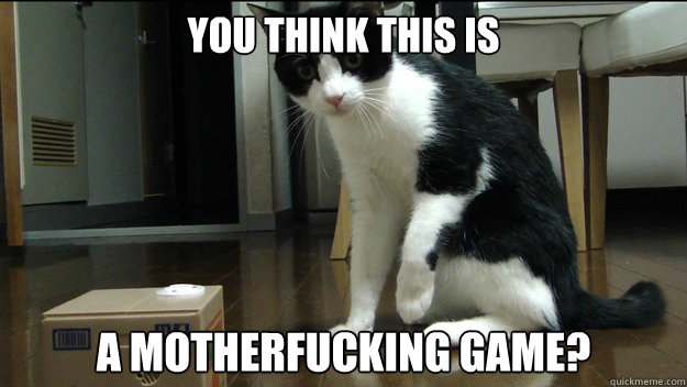 you think this is a motherfucking game -