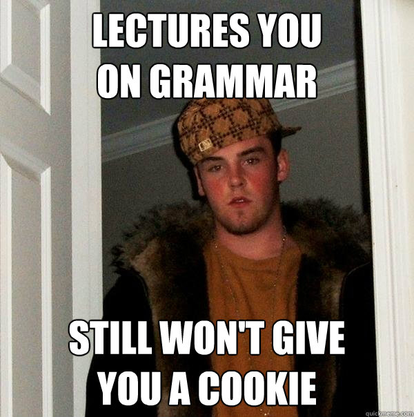 lectures you on grammar still wont give you a cookie - Scumbag Steve