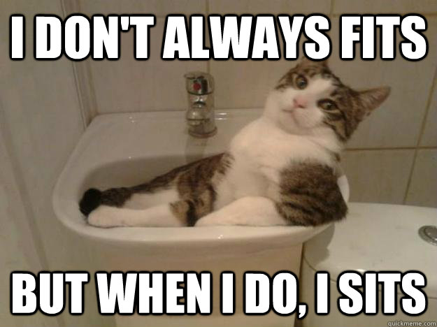 i dont always fits but when i do i sits - Most interesting cat in the world