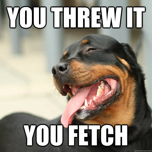 you threw it you fetch -