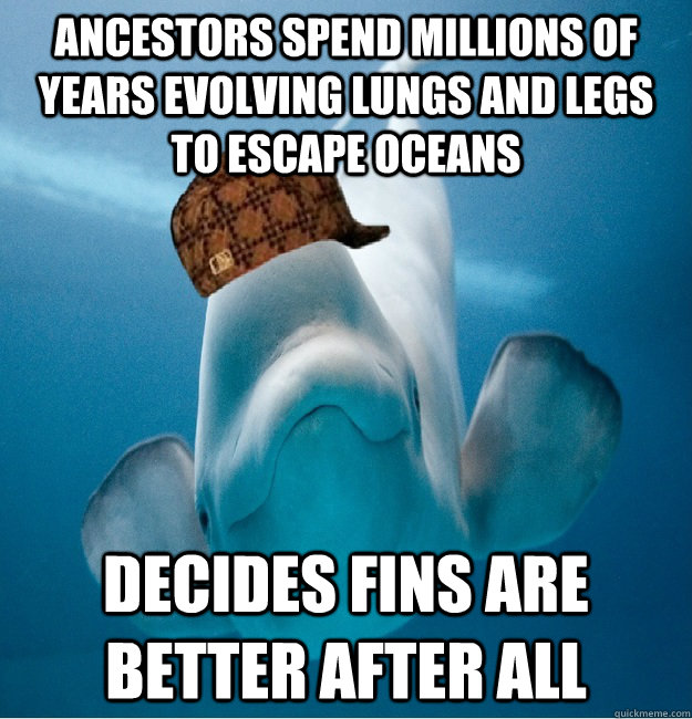 ancestors spend millions of years evolving lungs and legs to - Scumbag whale