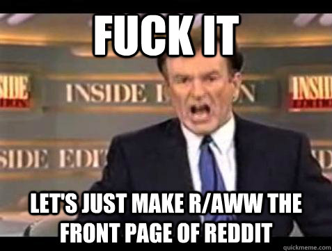 fuck it lets just make raww the front page of reddit - Bill OReilly Fuck It