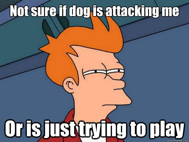 not sure if dog is attacking me or is just trying to play - Futurama Fry