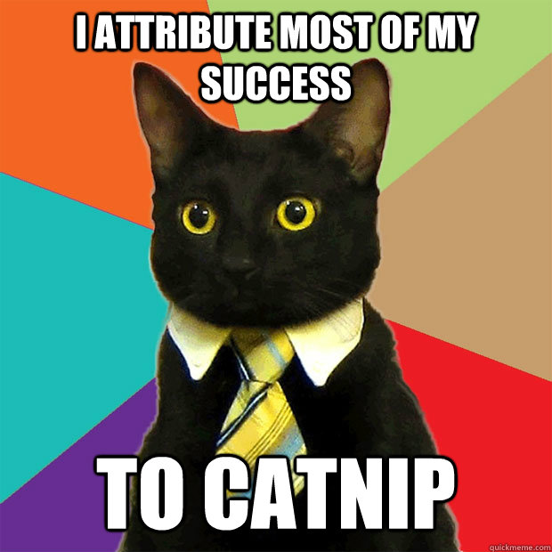 i attribute most of my success to catnip - Business Cat